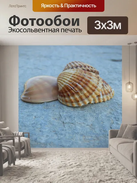 Фотообои Ракушки