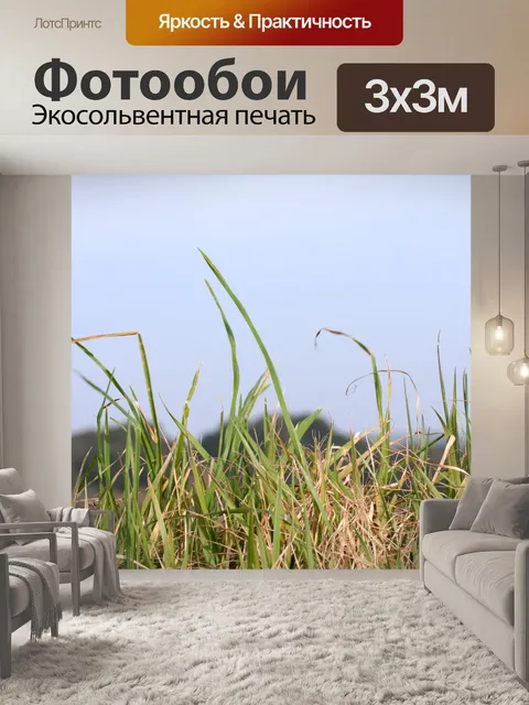 Фотообои Трава