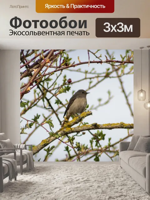 Фотообои Птица