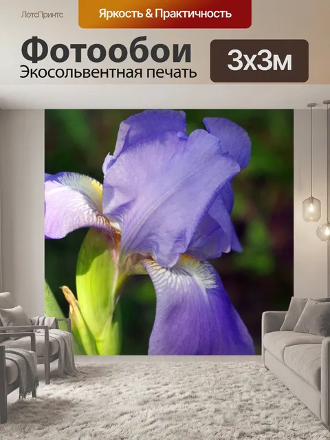 Фотообои Лаванда Iris
