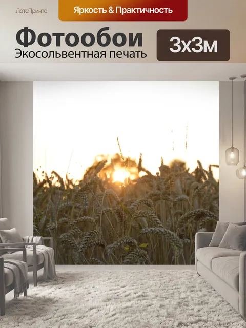 Фотообои Солнечный свет