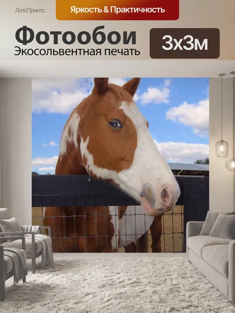Фотообои Лошадь