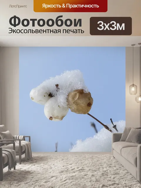 Фотообои Покрытый снегом