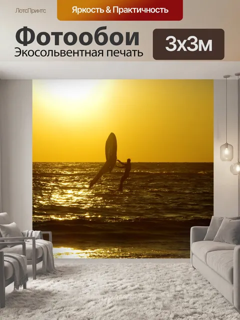 Фотообои Силуэт виндсерфера на закате