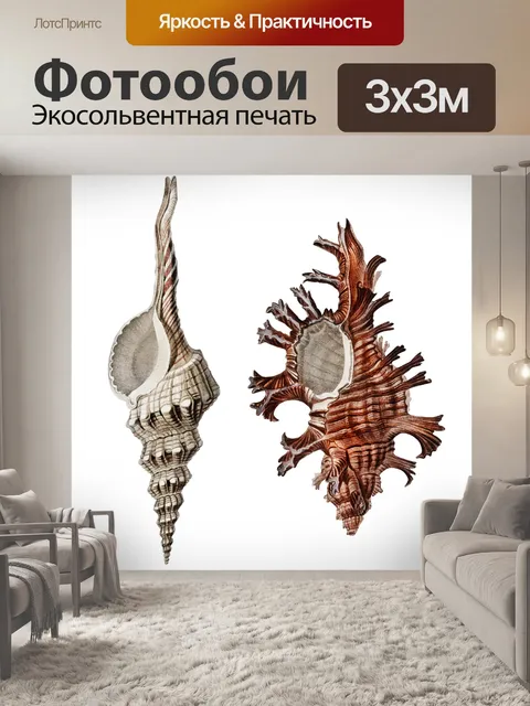 Фотообои Ракушки винтаж искусство старый