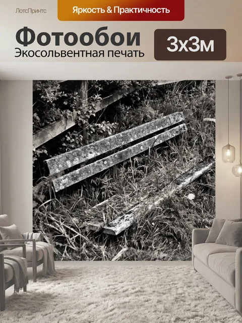 Фотообои Старые скамейки