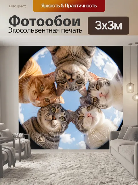 Фотообои Пять любопытных кошек