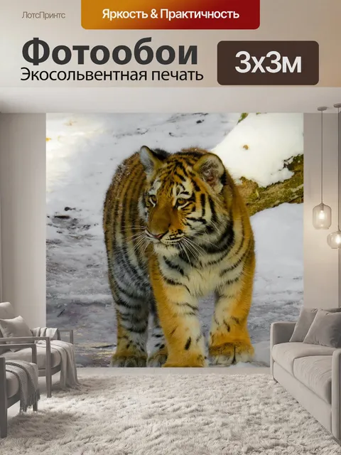 Фотообои Тигр