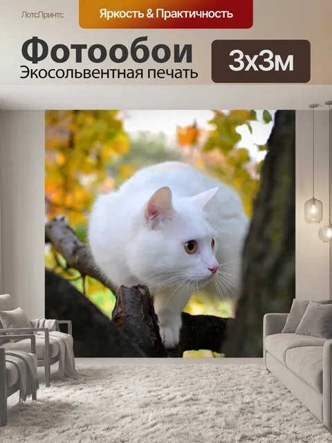 Фотообои Кот