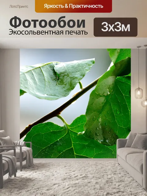Фотообои Дождь
