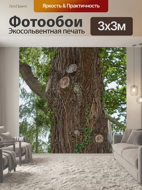 Фотообои Старый дуб