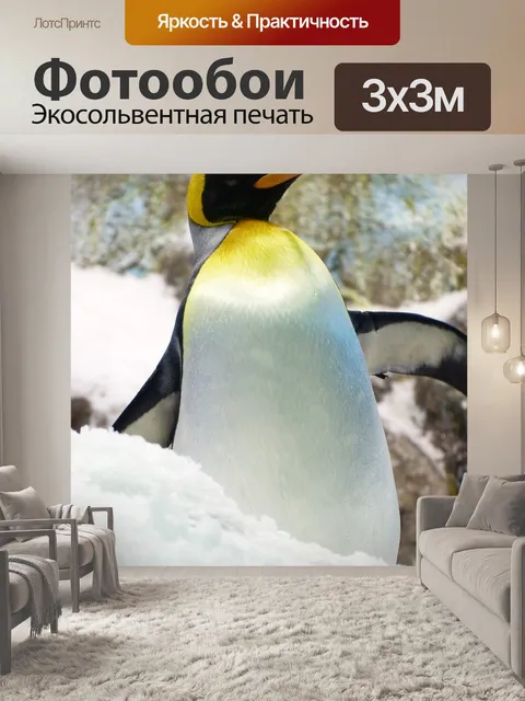Фотообои Королевский пингвин