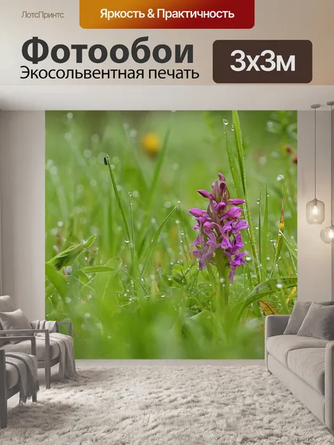 Фотообои Природа