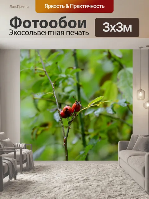 Фотообои Шиповник
