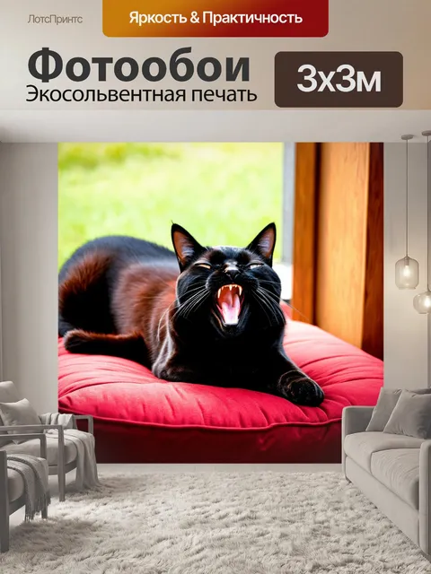 Фотообои черный кот на красной подушке, зевнувший и расслабляющийся на солнце