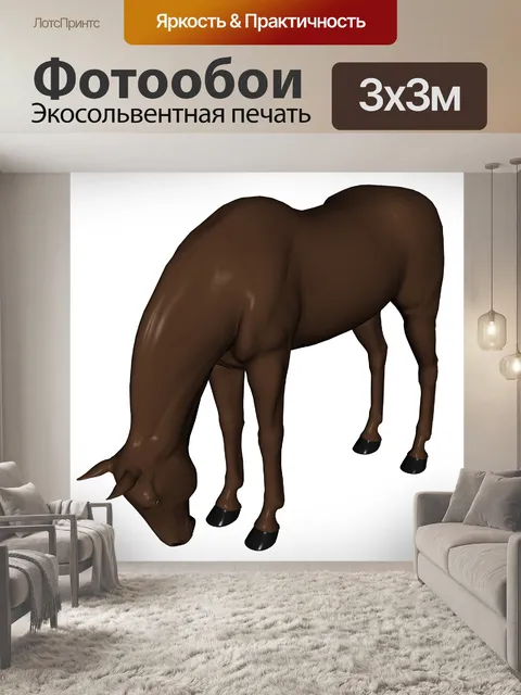 Фотообои выпас лошади