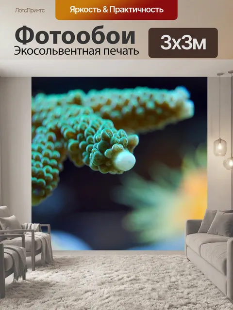 Фотообои Коралл