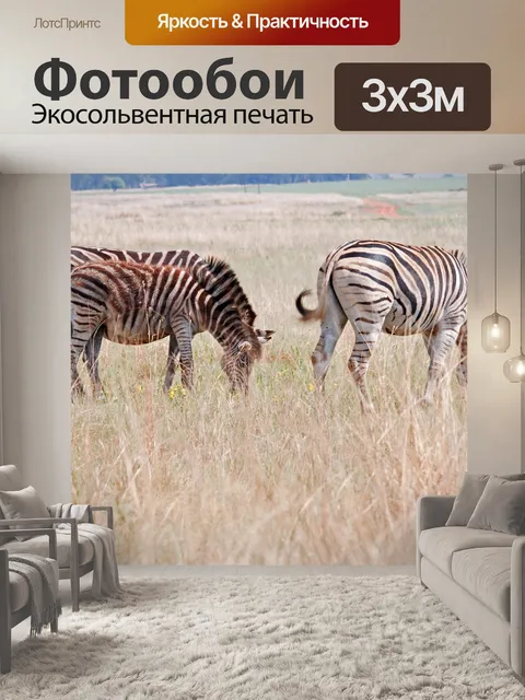 Фотообои группа зебр на открытых равнинах