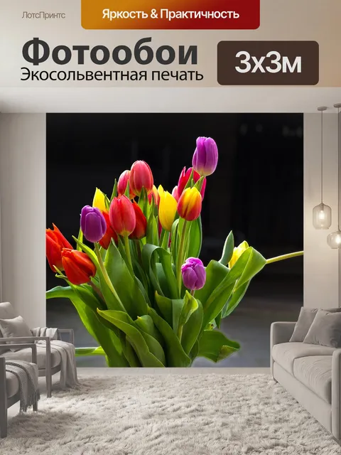 Фотообои Тюльпаны