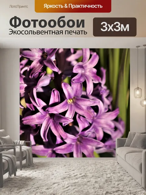 Фотообои Фиолетовый гиацинт крупным планом