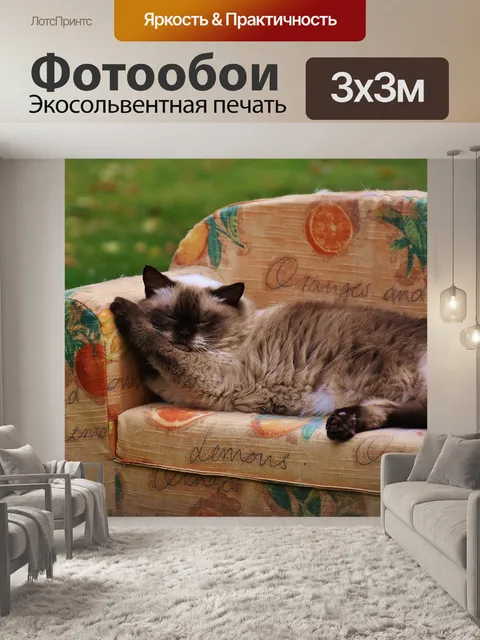 Фотообои Диван