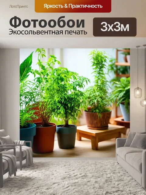 Фотообои зеленые с растениями в горшках, придающими домашний уют и естественную атмосферу