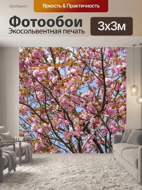 Фотообои Prunus serrulata