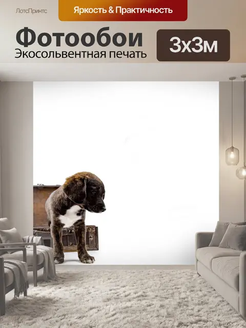 Фотообои Щенок с чемоданом
