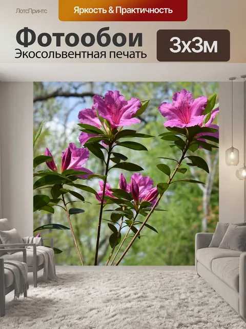 Фотообои Горячая розовая азалия