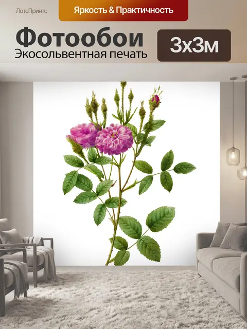 Фотообои Роза цветок старинная картина