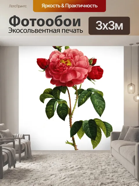 Фотообои Роза цветут винтажное искусство