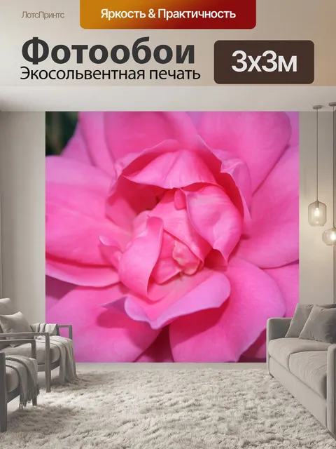Фотообои розовые розы