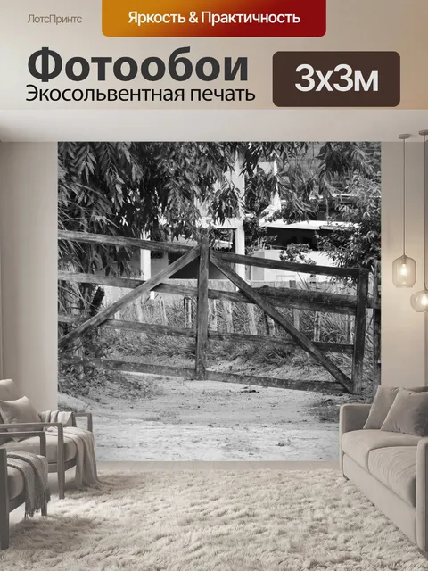 Фотообои Ворота