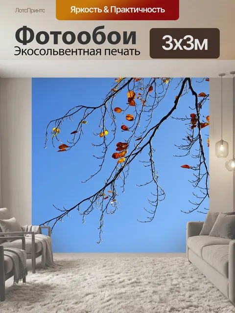 Фотообои Осенние ветви