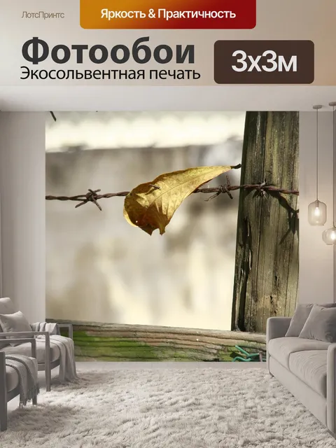 Фотообои Покинуть