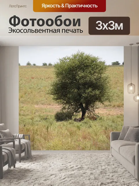 Фотообои Лев