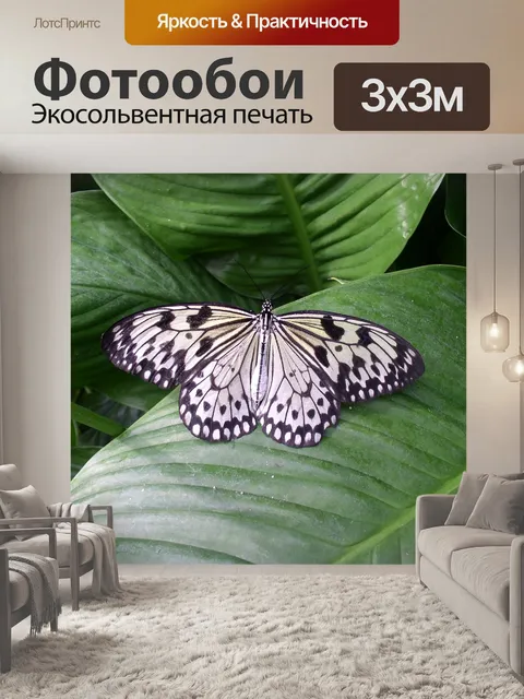 Фотообои Бабочка