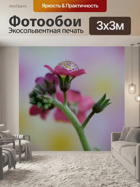 Фотообои Не-ма-смотреть