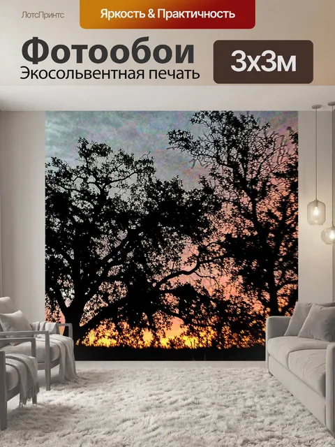 Фотообои Дубами Восход