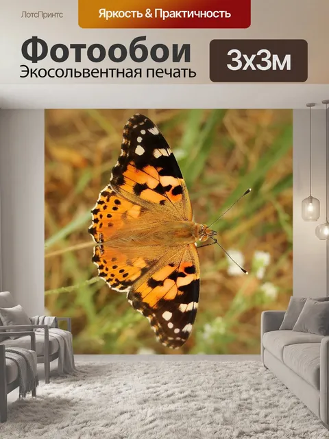 Фотообои Насекомое