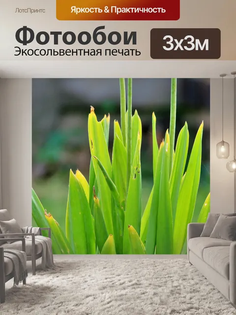 Фотообои длинные светлые листья