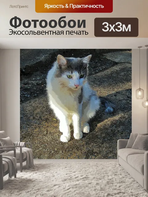 Фотообои Ragdoll кошка с зелеными глазами