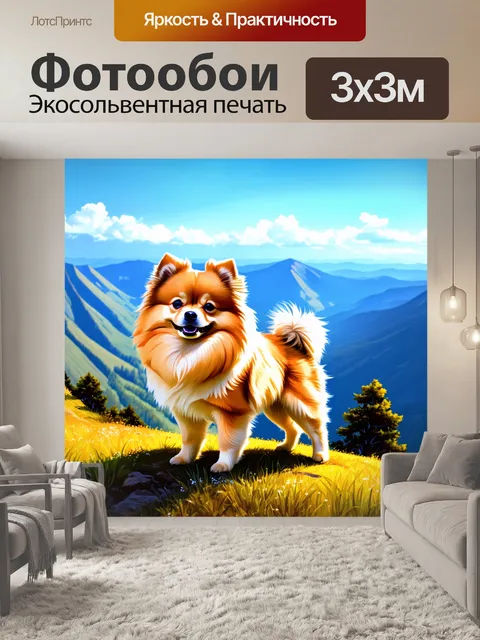 Фотообои карликовый шпиц, стоящий на горном склоне, с живописным видом на долину и горизонты на заднем плане