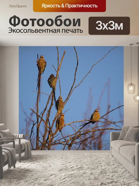 Фотообои Дерево