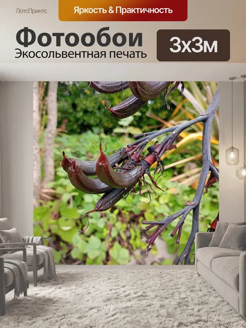 Фотообои холодно