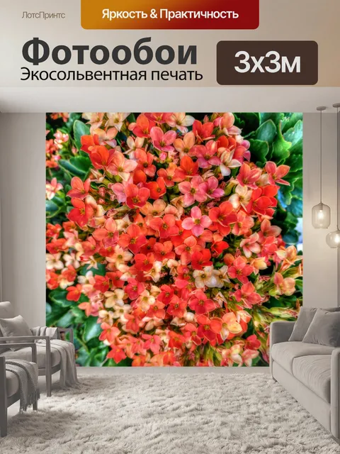 Фотообои Оранжевые цветы