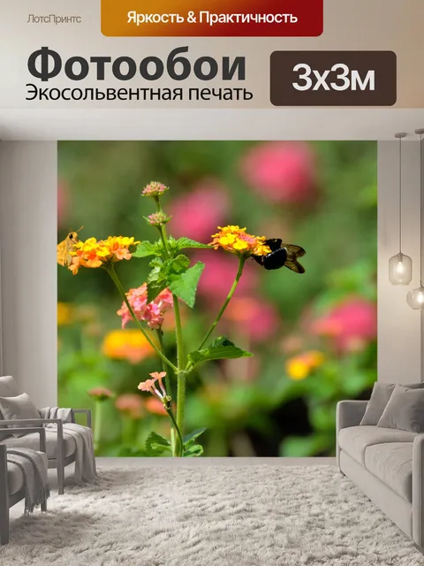 Фотообои Bumble Bee и Моль Бабочка