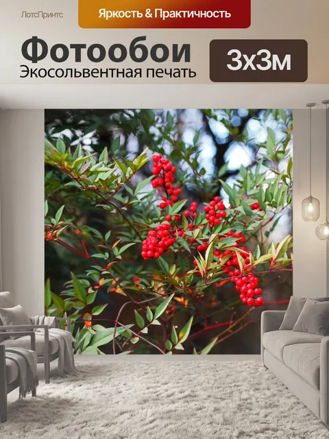 Фотообои красные ягоды на священном бамбуковом ра