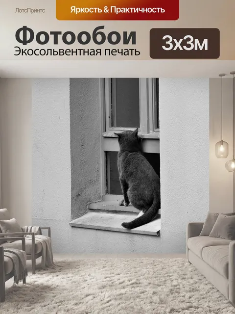 Фотообои Кот у окна