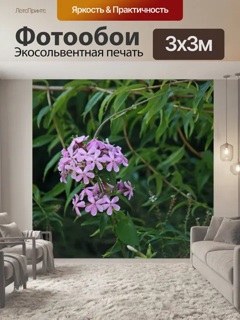 Фотообои розовые цветы мыльницы на растении